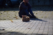 DSC_3880