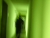 DSC03156