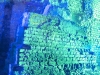 DSC03161