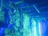 DSC03162
