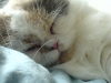 dsc00421.jpg