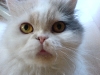 dsc00666.jpg