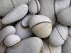 Rocks