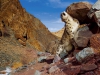 Snow-Leopard-Scratch