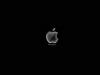apple_5