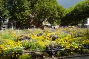 dsc00986