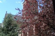 dsc00992