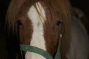 img_0284