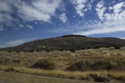 DSC5480