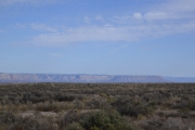 DSC5486