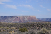 DSC5487