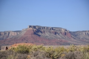 DSC5514
