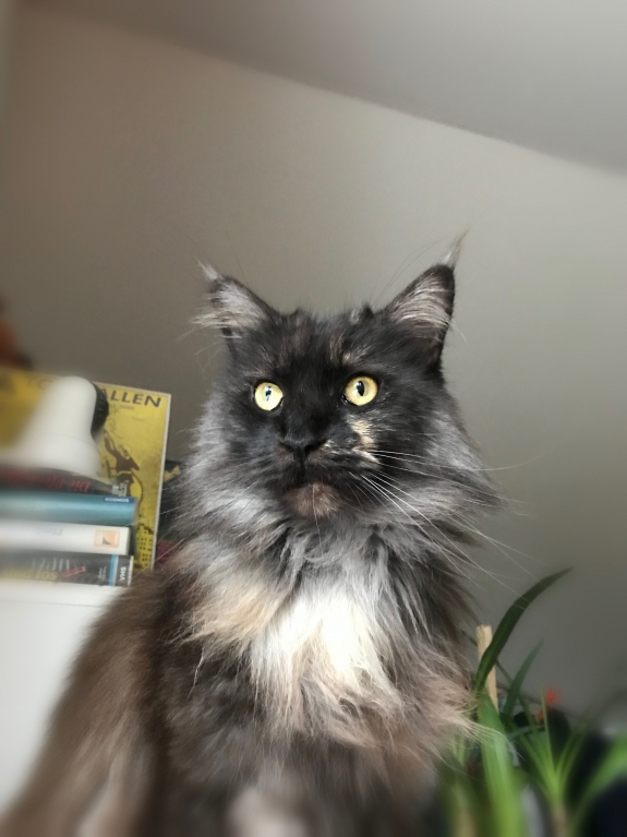 IMG_7847
