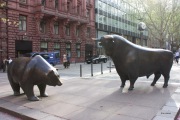 Baer_Stier01