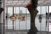 IMG_0974