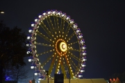 DSC4256