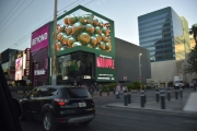 DSC5277