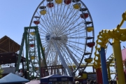 DSC6708
