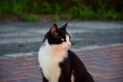 DSC_4962