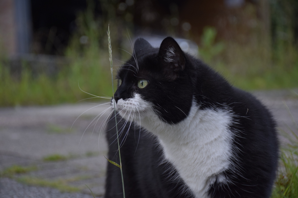 040