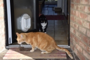 Pearly und Purzel