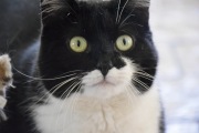 Große Augen