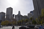 DSC5551