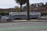 DSC5561