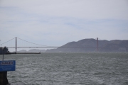 DSC5583