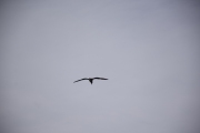 DSC5586