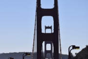 DSC5711
