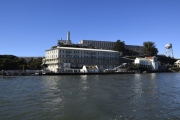 DSC5950