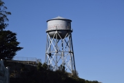 DSC5951
