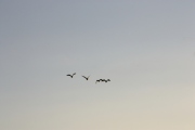 IMG_9189