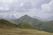 DSC3053