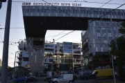 DSC3654