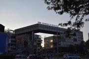 DSC3657