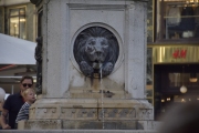 DSC3681